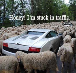 Things people really mean when they say the following